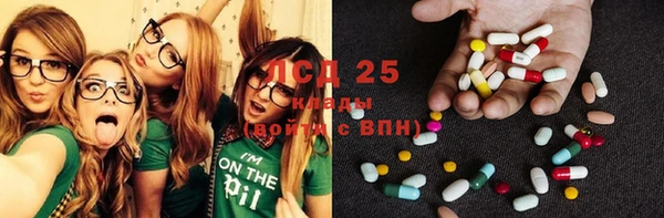 шишки Аркадак