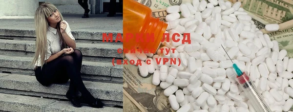шишки Аркадак