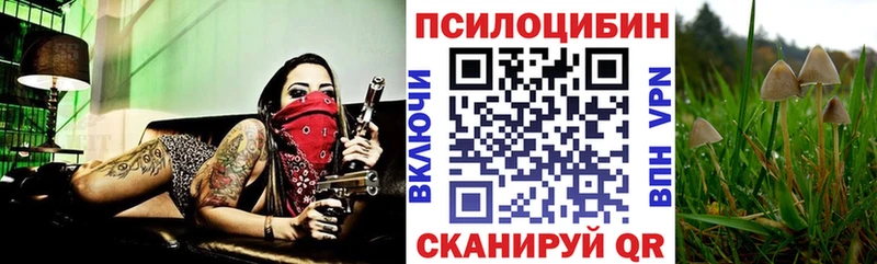 Псилоцибиновые грибы Magic Shrooms  Сосновка 